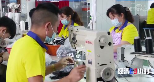 東莞再上央視 經濟半小時 關注疫情下東莞外貿訂單保衛戰